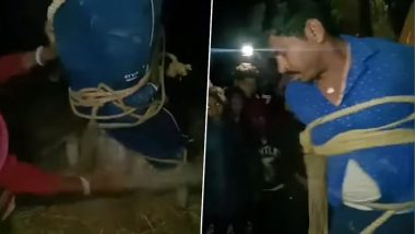 Bihar Shocker: सास के प्यार में दीवाना हुआ दामाद, आपत्तिजनक हालत में पकड़े जाने पर पेड़ से बांधने के बाद पत्नी ने ग्रामीणों के साथ मिलकर जमकर पीटा, वीडियो वायरल