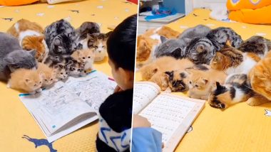 बच्चे के साथ बैठकर पढ़ाई कर रही थीं पालतू बिल्लियां, देखते ही देखते सबको आ गई गहरी नींद (Watch Viral Video)