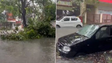 Cyclone Michaung in Tamil Nadu: चक्रवात 'मिचौंग' को लेकर चेन्नई में भारी बारिश, कई इलाकों में पानी भरा, देखें वीडियो