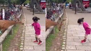 बच्ची ने हिरण को खिलाया खाना, फिर झुककर इस तरह से दोनों ने किया एक-दूसरे का अभिवादन (Watch Viral Video)