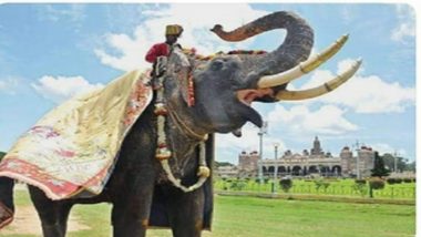 Elephant Arjuna Death: जंगली हाथी के हमले में पूर्व गोल्डन हौदा हाथी की मौत, कर्नाटक के CM ने जताया दुख