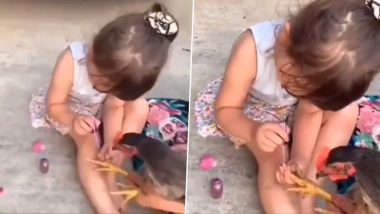 मुर्गे के साथ खेलते समय उसका मेकअप करने लगी बच्ची, नेल पॉलिश लगाकर किया उसका श्रृंगार (Watch Viral Video)