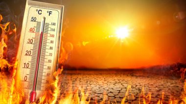 2023 Warmest Year Ever: प्रलय की तरफ बढ़ रही धरती! मानव इतिहास का सबसे गर्म साल है 2023, WMO की रिपोर्ट ने डराया