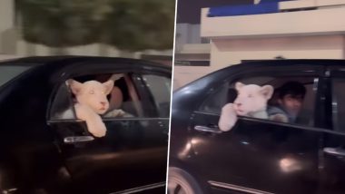Viral Video: नन्हे शेर को कार में बैठाकर सैर करा रहे थे लोग, पाकिस्तान से हैरान करने वाला वीडियो हुआ वायरल