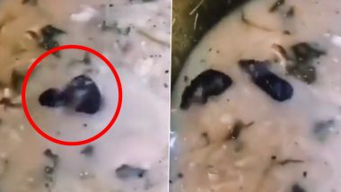 सूप के अंदर एक-दूसरे से जमकर लड़ाई करने लगे दो चूहे, Viral Video देख आप भी हो जाएंगे हैरान