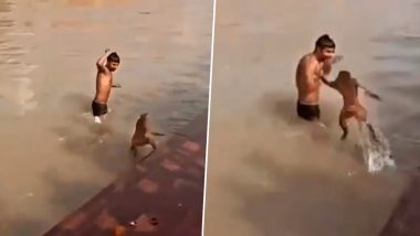 नदी में मजे से नहा रहा था कपल, अचानक बंदर ने मारी एंट्री और पल भर में सारा मजा कर दिया किरकिरा (Watch Viral Video)