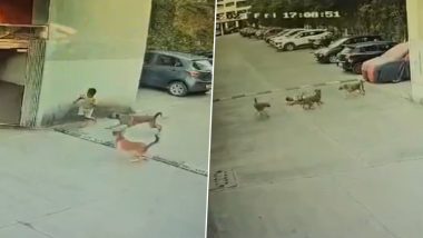 Pune Dog Attack Video: पुणे में आवारा कुत्तों ने बच्चे पर किया जानलेवा हमला, मासूम ने किसी तरह बचाई जान