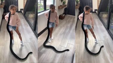 Dangerous Snake Video: खतरनाक सांप को बालों की तरह संवारती नजर आई बच्ची, वीडियो देख खड़े हो जाएंगे रोंगटे!
