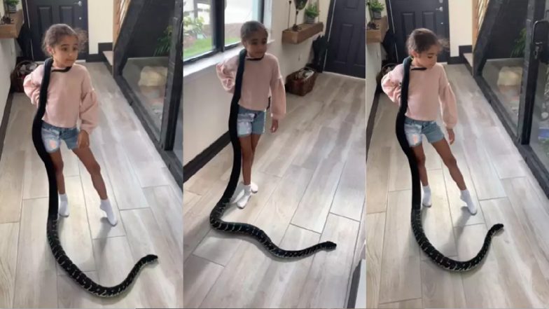 Dangerous Snake Video: खतरनाक सांप को बालों की तरह संवारती नजर आई बच्ची, वीडियो देख खड़े हो जाएंगे रोंगटे!
