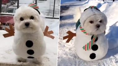Snowman Viral Video: क्या आपने कभी देखा है इतना प्यारा स्नोमैन, उसकी क्यूटनेस देख फिदा हो जाएंगे आप