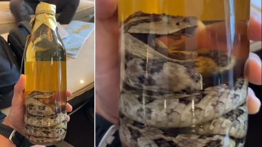 Snake Whiskey: व्हिस्की की बोतल में बैठा नजर आया जहरीला सांप, जापान के इस अनोखे शराब को देख हैरान हुए लोग (Watch Viral Video)