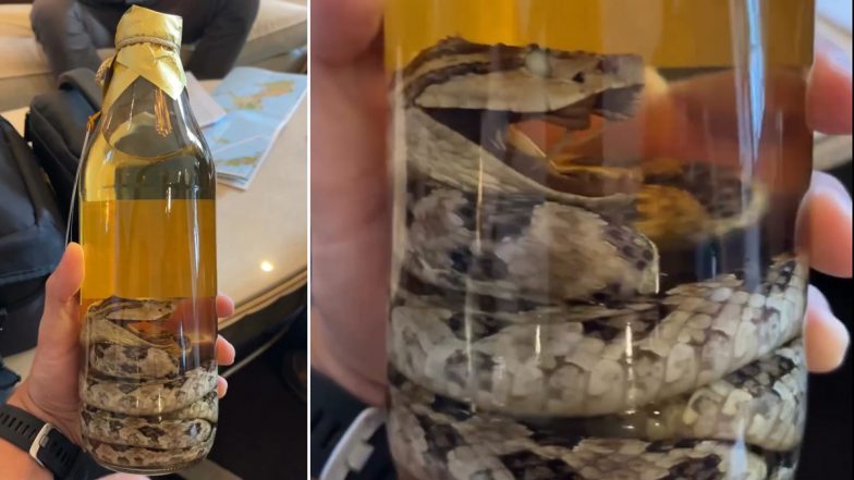 Snake Whiskey: व्हिस्की की बोतल में बैठा नजर आया जहरीला सांप, जापान के इस अनोखे शराब को देख हैरान हुए लोग (Watch Viral Video)