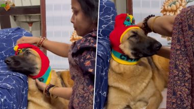 पालतू कुत्ते पर मां की तरह प्यार लुटाती दिखी महिला, ठंड से बचाने के लिए पहना दिया टोपी (Watch Viral Video)