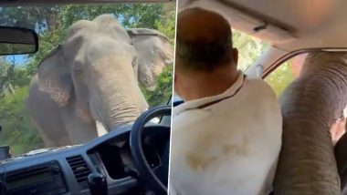Viral Video: हाथी बना लुटेरा, जंगल से गुजर रहे टूरिस्ट वैन पर हमला करके लूट ले गया खाने का सामान