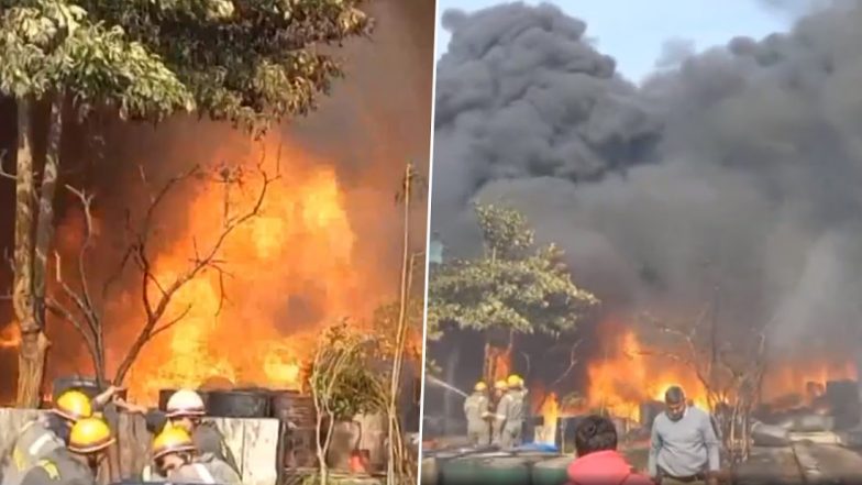 Ghaziabad Fire Video: यूपी के गाजियाबाद में केमिकल फैक्ट्री में लगी भीषण आग