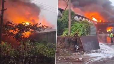 Chennai Fire Video: चेन्नई में केमिकल की गोदाम में लगी आग, दमकल की टीम मौके पर मौजूद