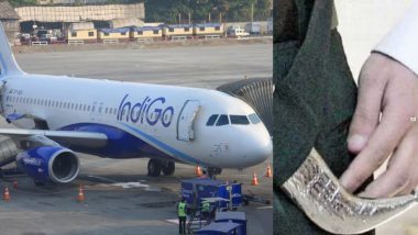 Kirpan on Flights: फ्लाइट में कृपाण ले जाने की परमिशन के लिए इंडिगो के पायलट ने किया हाई कोर्ट का रूख