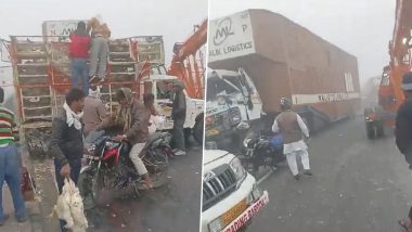 Chicken Loot Video: आगरा-नेशनल हाईवे पर मुर्गों से लदा पिकअप पलटा, लूट के लिए मची होड़