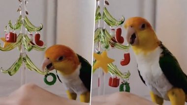 Viral Video: क्रिसमस ट्री को बड़े ही प्यार से सजाता दिखा तोता, पक्षी को क्यूटनेस देख बन जाएगा आपका दिन