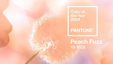 Pantone Color of The Year 2024: साल 2024 का पैनटोन कलर है पीच फज़, आधिकारिक तौर पर ‘PANTONE 13–1023 Peach Fuzz’ दिया गया नाम