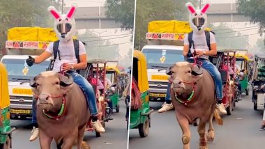Viral Video: खरगोश वाला हेलमेट लगाकर शख्स ने की भैंस की सवारी, दिल्ली की सड़कों पर दिखा हैरान करने वाला नजारा