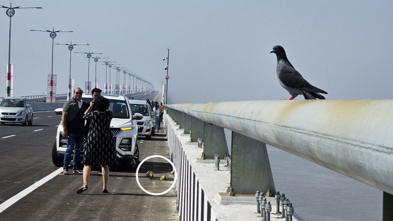 Littering Issue At Atal Setu Begins! अटल सेतु पुल पर नियमों का उल्लंघन करते नजर आए यात्री, सोशल मीडिया पर फोटो वायरल