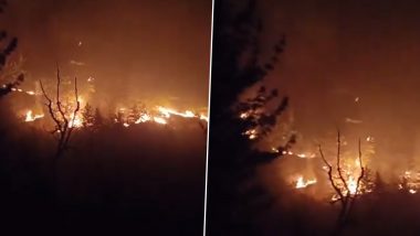 Himachal Pradesh Forest Fire Video: मनाली के जंगल में लगी भीषड़ आग, करोड़ों रुपये की वन संपदा नष्ट