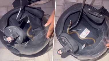 Snake Found Inside Bike's Helmet: एक शख्स बाइक के हेलमेट के अंदर निकला सांप, वीडियो हुआ वायरल