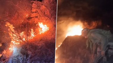 Poonch Fire: पुंछ डेरा की गली के पास जंगल में लगी भीषड़ आग, जम्मू कश्मीर सेना ने बचाई लोगों की जान