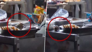 Rats Feast On IRCTC Food Stall: रेलवे स्टॉल पर चूहों का आतंक, तैयार खाने पर घुमता दिखा जानवर, वीडियो वायरल होने के बाद रेलवे ने किया रियेक्ट, देखें Video