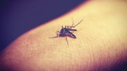 National Dengue Day 2024: कब है राष्ट्रीय डेंगू दिवस? डेंगू के मच्छर आपका कुछ नहीं बिगाड़ सकेंगे, जानें 6 महत्वपूर्ण टिप्स!