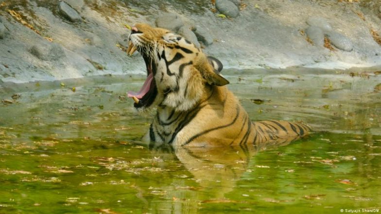 दिल्ली चिड़ियाघर में नौकरी कर रहे हैं ग्रेजुएट, पोस्ट ग्रेजुएट