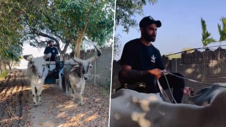 Ravindra Jadeja: साउथ अफ्रीका दौरे से लौटने के बाद रवींद्र जडेजा ने चलाई बग्गी, सोशल मीडिया वीडियो हुआ वायरल हुई वीडियो- VIDEO