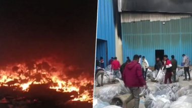 Harayana Shoe Factory Fire Video: बहादुरगढ़ में दो जूता फैक्ट्रियों में लगी भीषण आग, मौके पर पहुंचीं दमकल की गाड़ियां