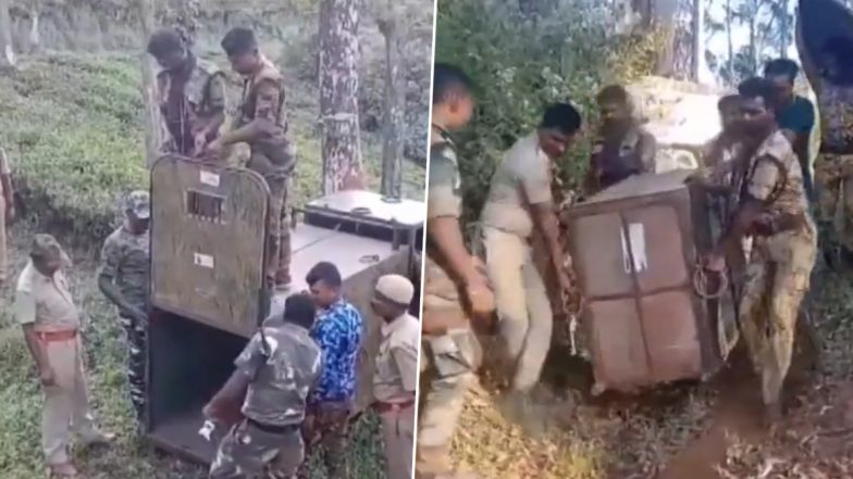 Tamil Nadu: 15 दिनों से खुला घूम रहा है तेंदुआ, मदुलामई टाइगर रिजर्व से कुमकी हाथी को तलाश में लाया गया, देखें वीडियो
