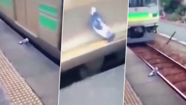 Viral Video: उड़ने का मन नहीं किया तो सफर करने के लिए ट्रेन में चढ़ा पक्षी, मनमोहक वीडियो हुआ वायरल
