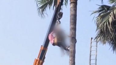 Heart Attack on Palm Tree Video: खजूर के पेड़ पर चढ़े शख्स की हार्ट अटैक से मौत, क्रेन से उतारनी पड़ी लाश