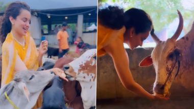 Kangana Ranaut अपने भतीजे के साथ पहुंची सद्गुरु के आश्रम ईशा फाउंडेशन, गायों और बैलों को अपने हाथों से कराया भोजन (Watch Video)