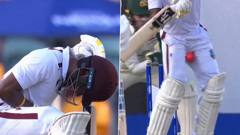 Kavem Hodge Hit In Crotch: ऑस्ट्रेलिया के खिलाफ दूसरे टेस्ट में वेस्टइंडीज के बल्लेबाज केवम हॉज के क्रॉच में लगी चोट, दर्द से कराहते दिखें बल्लेबाज, देखिएं वीडियो
