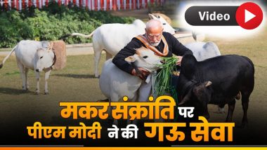 PM Modi Feeds Cows Video: मकर संक्रांती पर पीएम मोदी ने की गऊ सेवा, गायों को लड्डू खिलाते प्रधानमंत्री का वीडियो वायरल