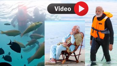 VIDEO: पीएम मोदी समुद्र के अंदर मछलियों के साथ आए नजर, लक्ष्यद्वीप बीच पर बिताए सुकून भरे पल, देखें वायरल वीडियो