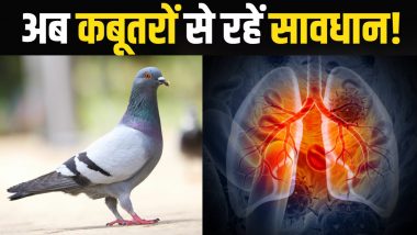 Pigeons Give You Deadly Lungs: सावधान! जानलेवा बीमारी फैला रहे हैं कबूतर, महिला को कराना पड़ा फेफड़े का ट्रांसप्लांट