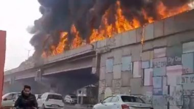Punjab Oil Tanker Fire Video: पंजाब के लुधियाना में नेशनल हाइवे पर तेल से भरे टैंकर में लगी आग, धू-धूकर जली
