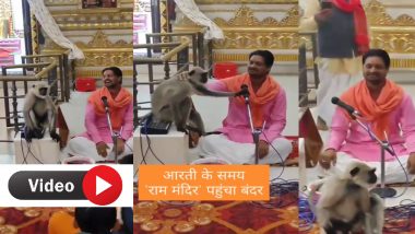 Monkey Bhajan Video: मंदिर में अनोखा नजारा! भगवान राम की भक्ति में डूबा नटखट बंदर, मंत्रमुग्ध होकर सुनता रहा भजन
