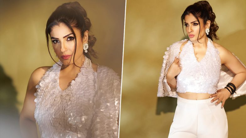 Raveena Tandon ने 49 साल की उम्र में बिखेरा जलवा, सोशल मीडिया पर शेयर की स्टनिंग तस्वीरें (View Pics)