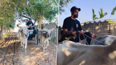 Ravindra Jadeja Drives Bullock Cart: विंटेज राइड पर निकले टीम इंडिया के ऑल राउंडर रवींद्र जडेजा, बैलगाड़ी चलाते हुए वीडियो वायरल, देखकर उठाए लुफ्त