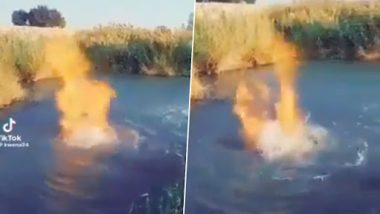Viral Video: नदी के खौलते हुए पानी से निकलती दिखीं आग की लपटें, नजारा देख हैरान हो जाएंगे आप