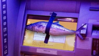 Taping Fish To ATMs: अजीबोगरीब! शख्स ने एटीएम और पुलिस की कार पर चिपकाई ढेर सारी मछलियां, वजह जानकर रह जाएंगे हैरान