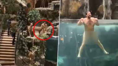 Naked Man Dives Into Aquarium: अमेरिका में निर्वस्त्र व्यक्ति ने बैस प्रो शॉप में लगे फिश एक्वेरियम में कूदा, कड़ी मशक्कत के बाद पुलिस ने किया गिरफ्तार, देखें वीडियो