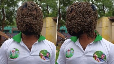Viral Video: शख्स के चेहरे पर दिखा मधुमक्खियों का छत्ता, वीडियो देखकर आपके पैरों तले खिसक जाएंगी जमीन